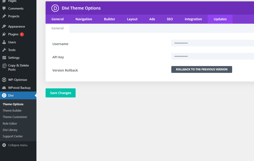 divi-wordpress-theames